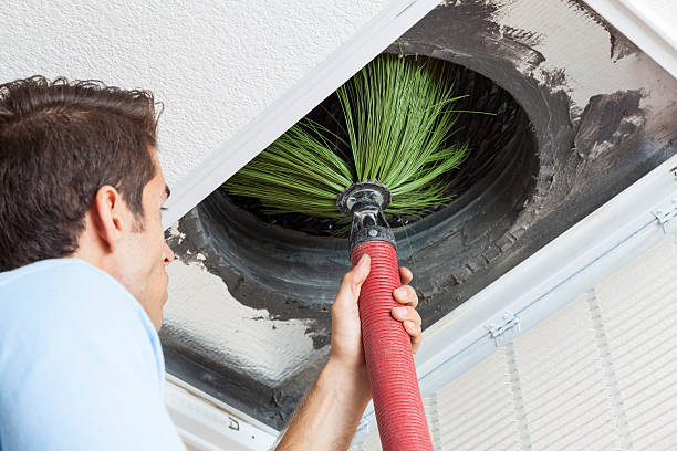 Best Professional Duct Cleaning Services  in Morehead, KY
